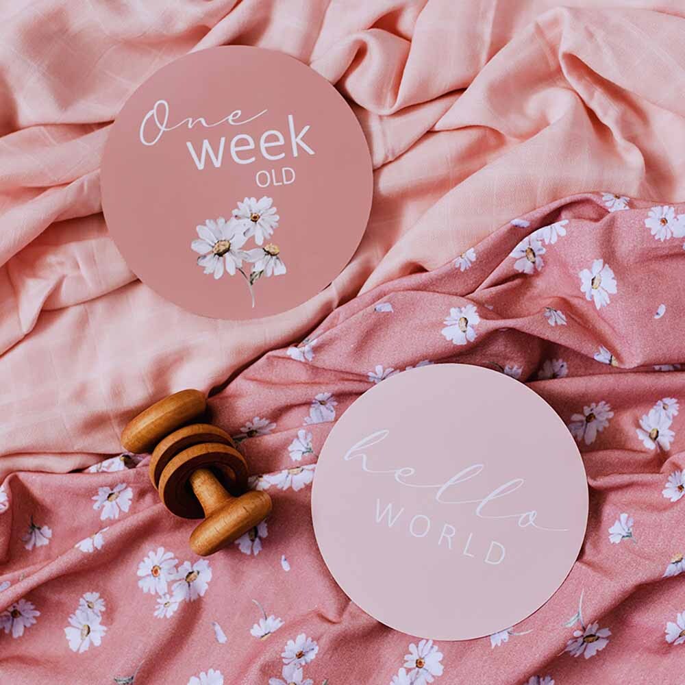 Daisy &amp; Musk Pink Reversible Milestone Cards
