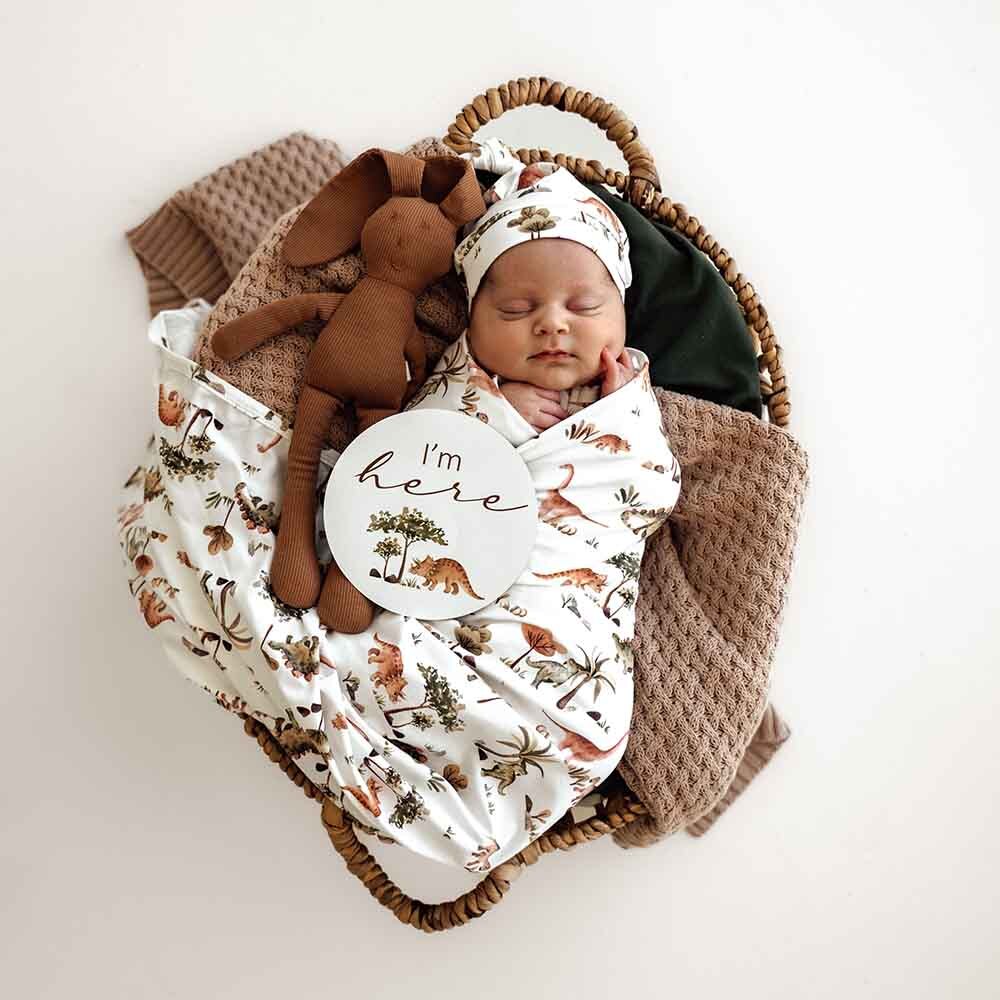 Dino Organic Jersey Wrap &amp; Beanie Set