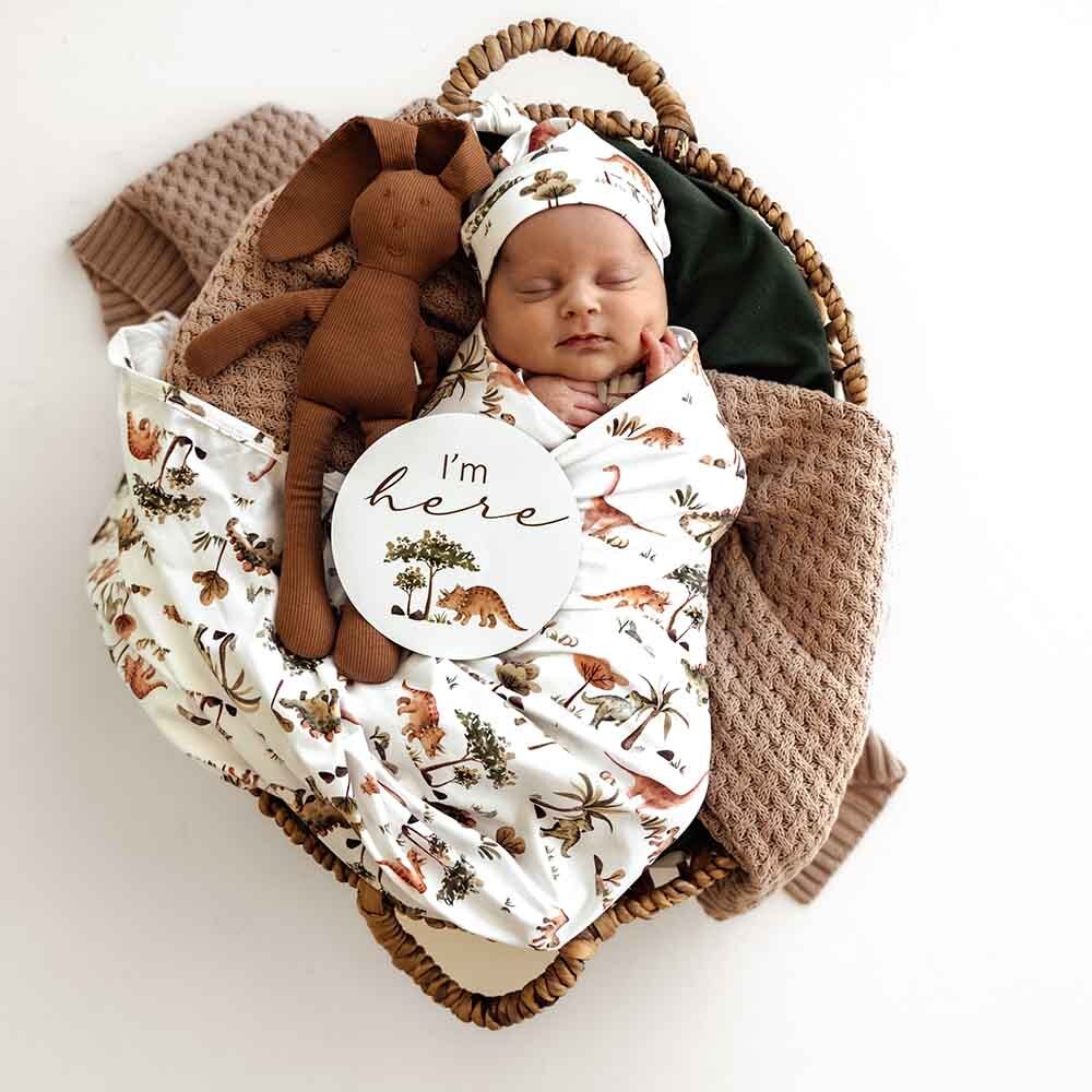 Dino Organic Jersey Wrap &amp; Beanie Set