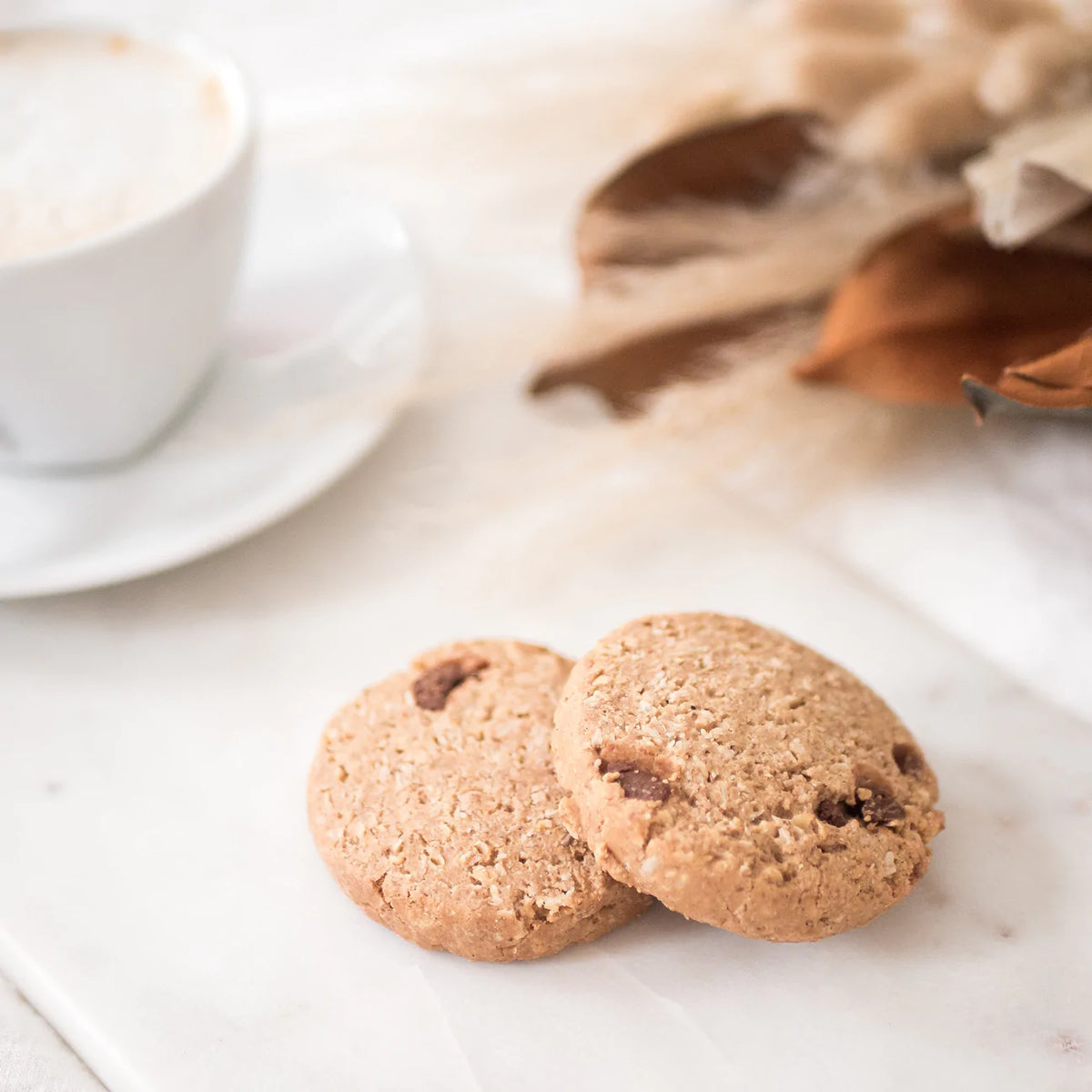 Dark Chocolate Chip Lactation Cookies