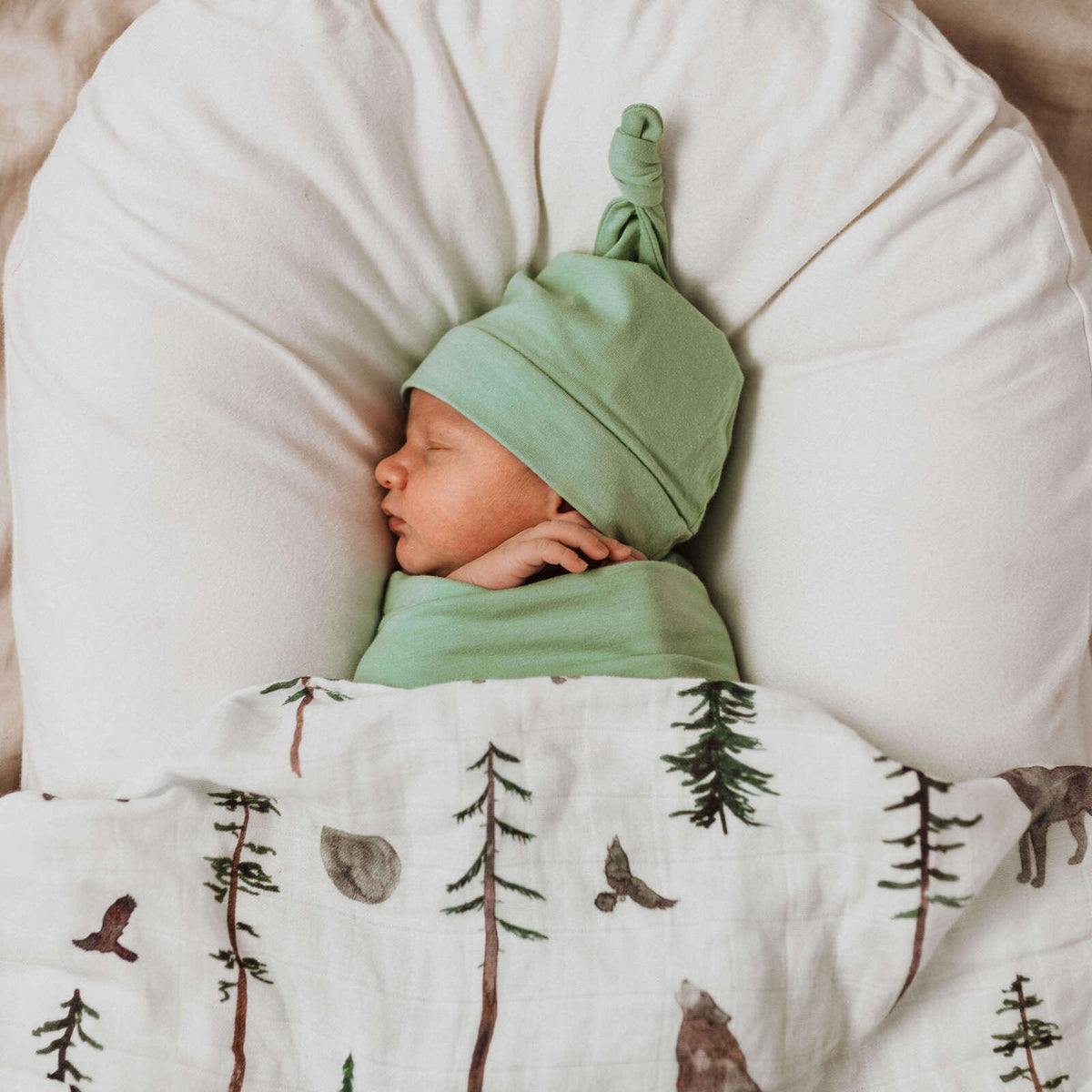 Sage Snuggle Swaddle &amp; Beanie Set