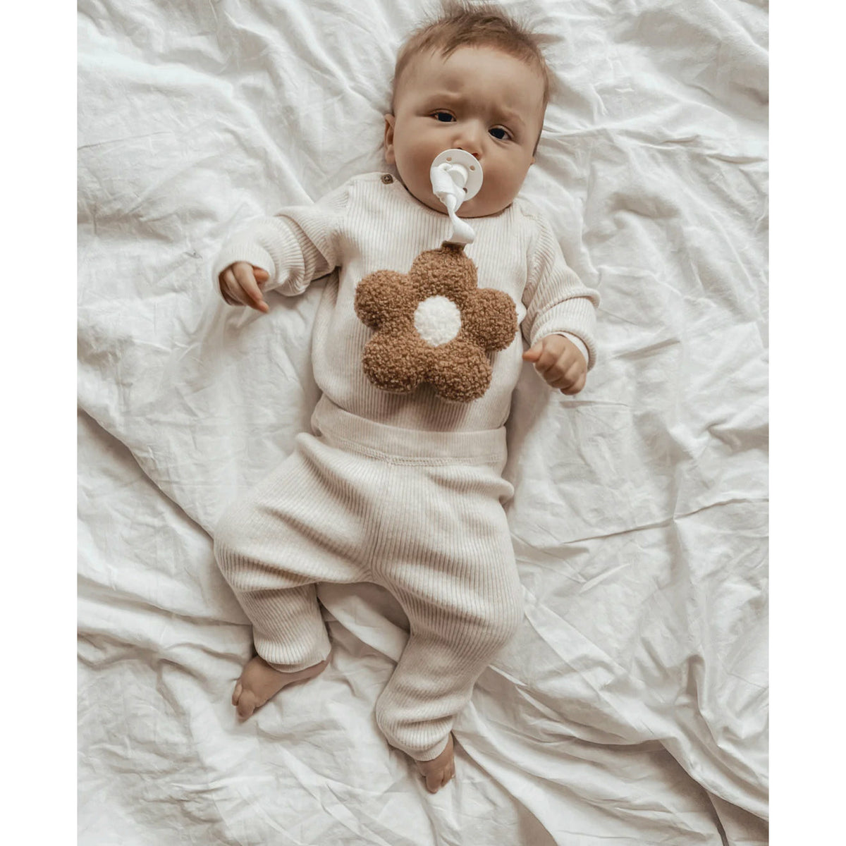 TEDDY DAISY - LATTE